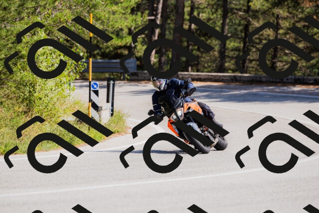 202509131431-_04A8921_c3