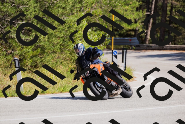 202509131431-_04A8922_c3