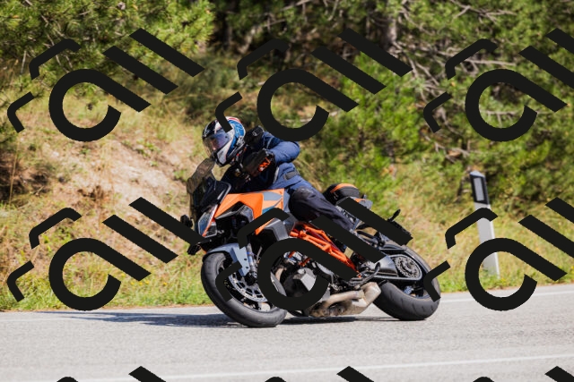 202509131431-_04A8923_c3