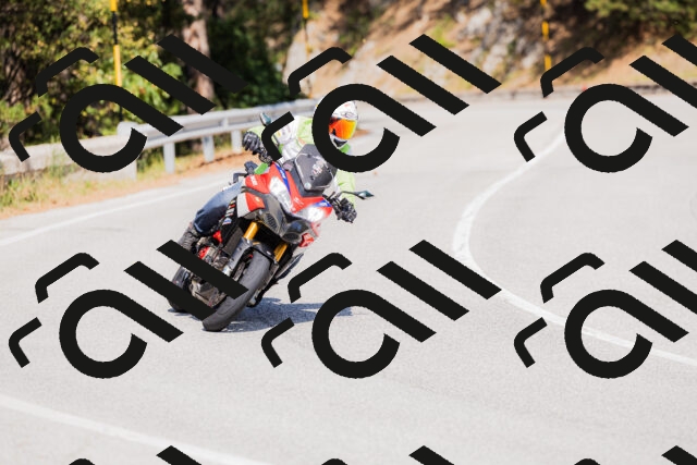 202509131431-_04A8928_c3