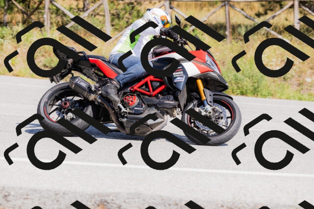 202509131431-_04A8931_c3