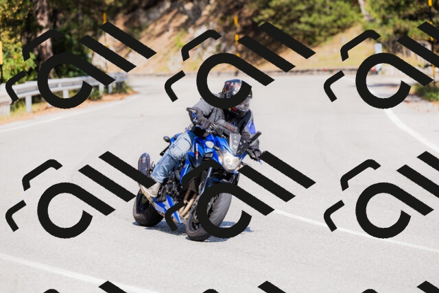 202509131431-_04A8936_c3