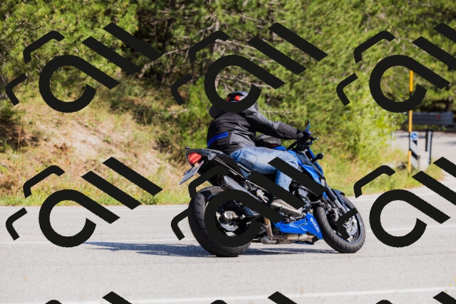 202509131431-_04A8941_c3