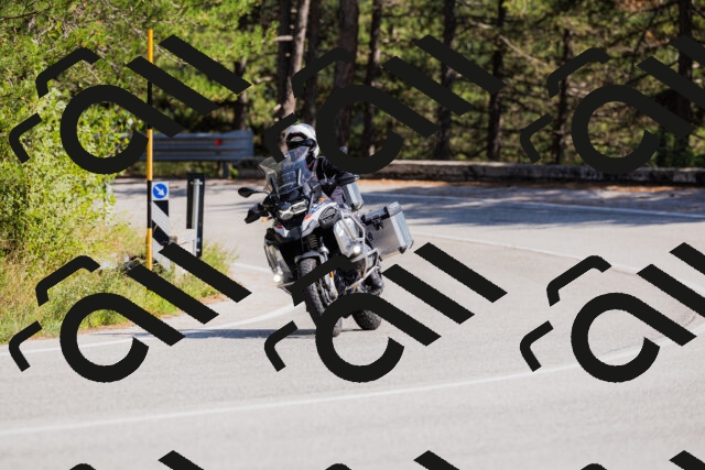 202509131431-_04A8943_c3