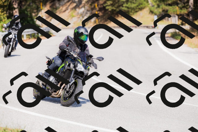 202509131432-_04A8952_c3