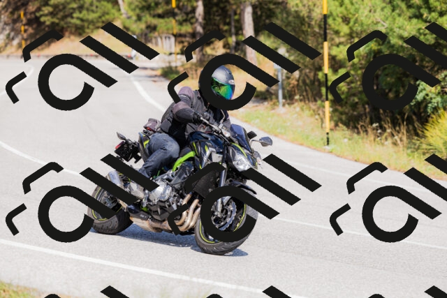 202509131432-_04A8953_c3