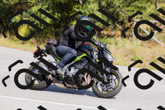 202509131432-_04A8954_c3