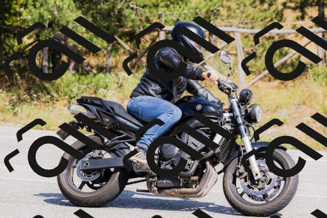 202509131432-_04A8956_c3