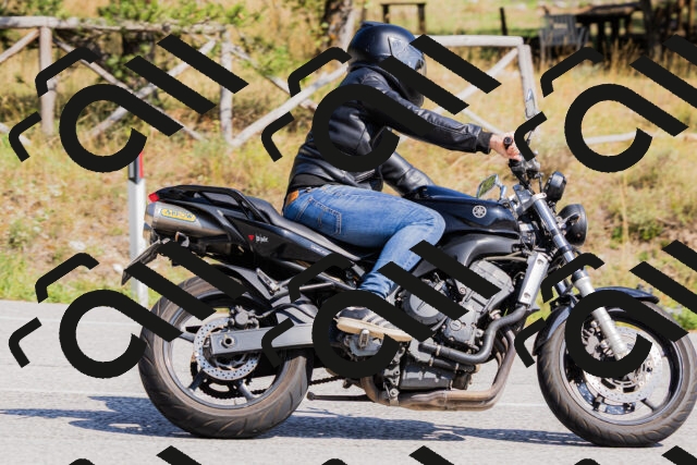 202509131432-_04A8957_c3