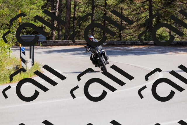 202509131432-_04A8959_c3