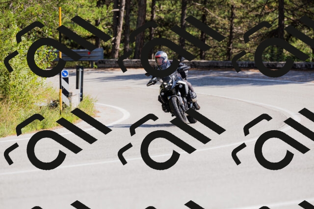 202509131432-_04A8961_c3