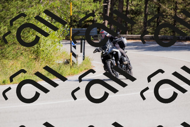 202509131432-_04A8962_c3