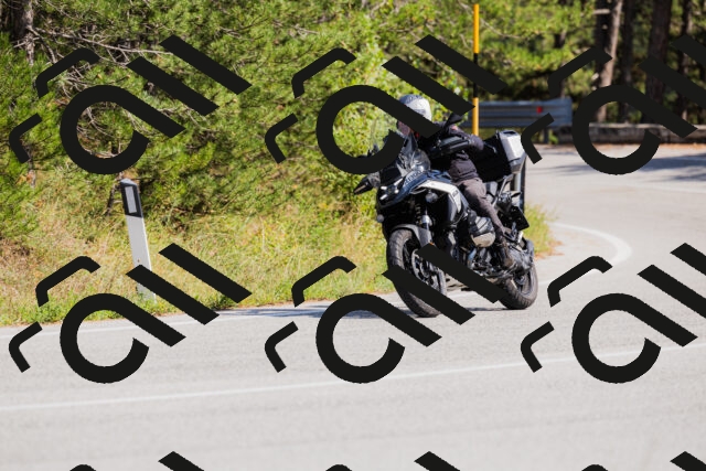 202509131432-_04A8963_c3