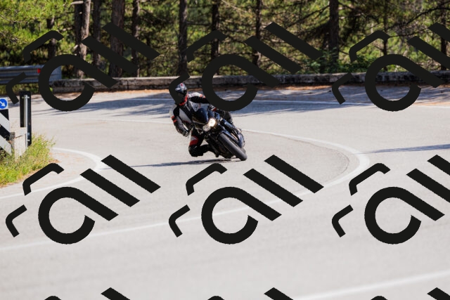 202509131434-_04A8966_c3