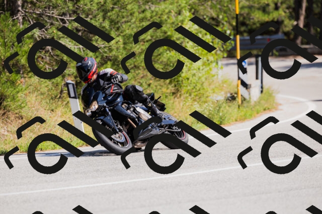 202509131434-_04A8969_c3