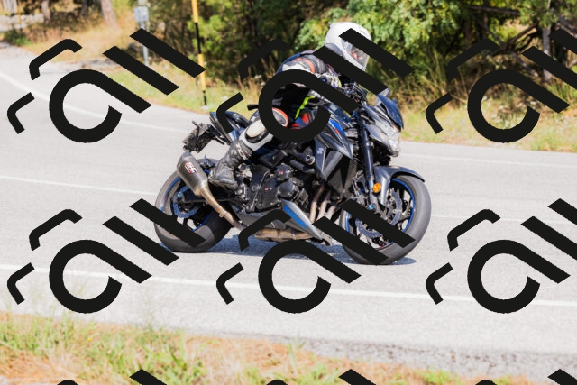 202509131434-_04A8974_c3