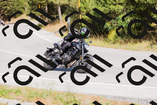 202509131434-_04A8975_c3