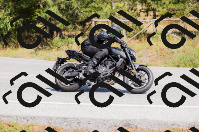 202509131434-_04A8976_c3