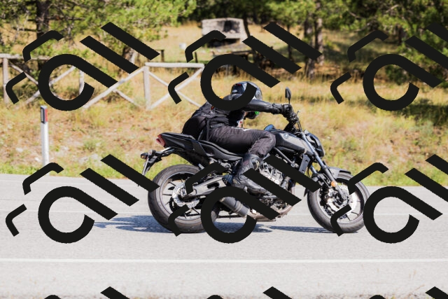 202509131434-_04A8977_c3