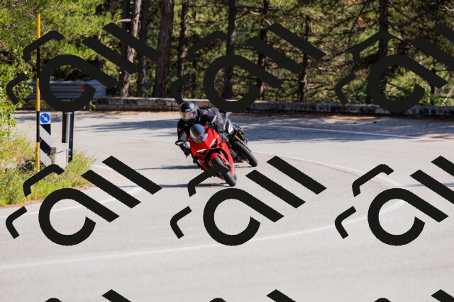 202509131435-_04A8978_c3