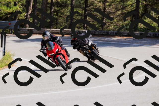 202509131435-_04A8979_c3