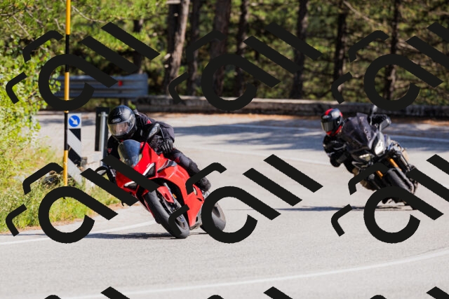 202509131435-_04A8980_c3