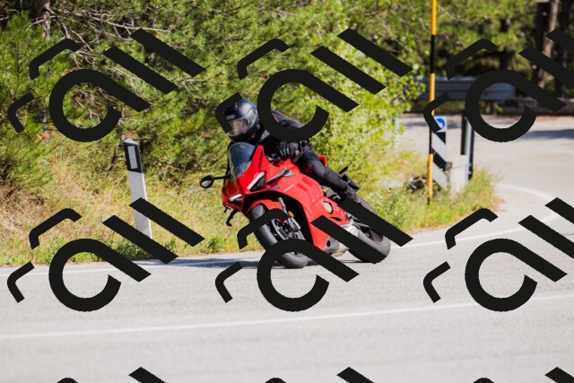 202509131435-_04A8981_c3