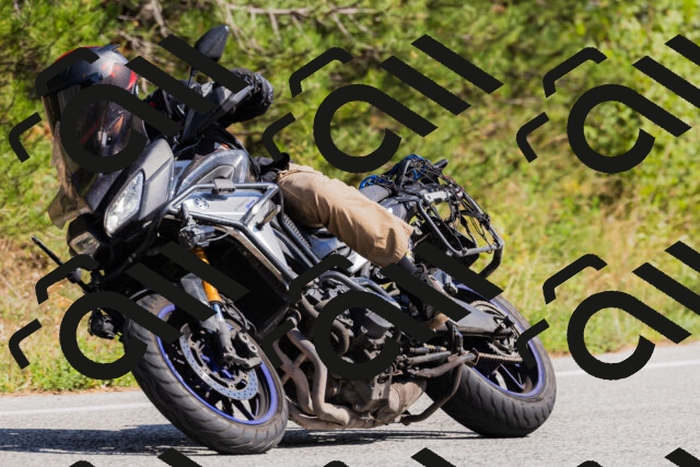 202509131435-_04A8982_c3