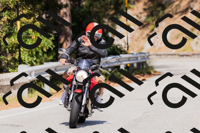 202509131436-_04A8985_c3