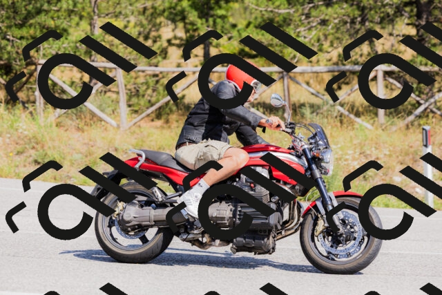 202509131436-_04A8991_c3