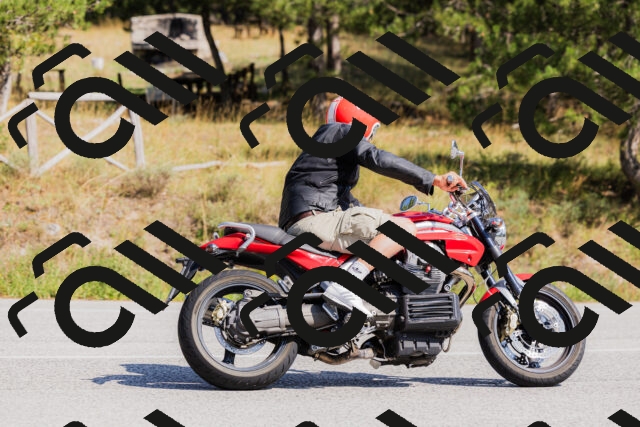 202509131436-_04A8992_c3