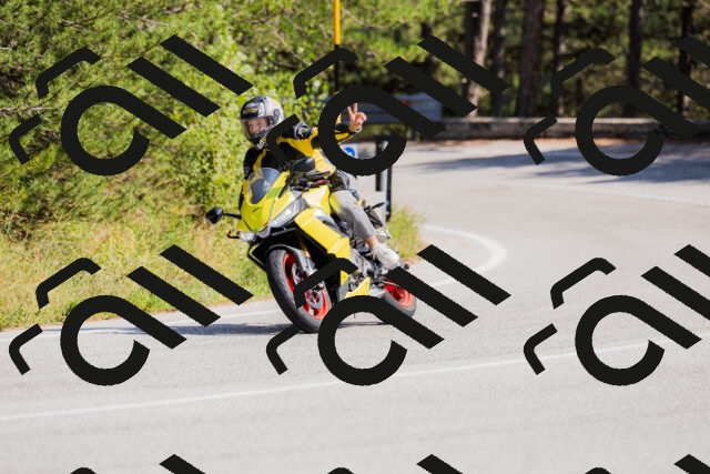 202509131438-_04A8998_c3