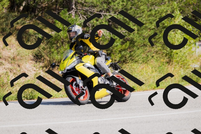 202509131438-_04A8999_c3