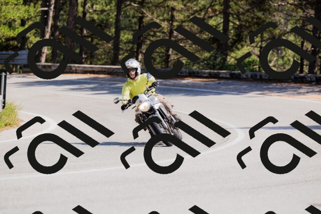 202509131440-_04A9002_c3