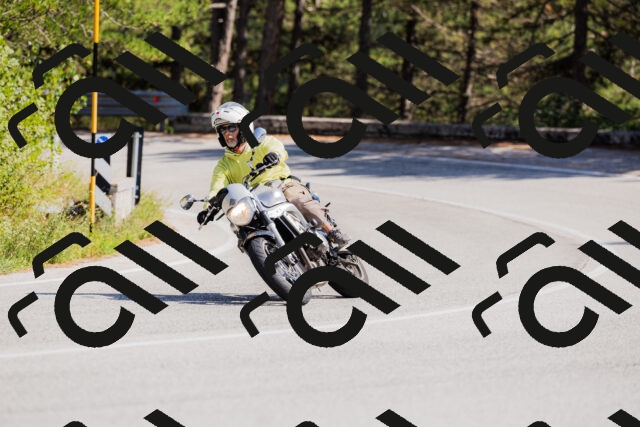 202509131440-_04A9003_c3