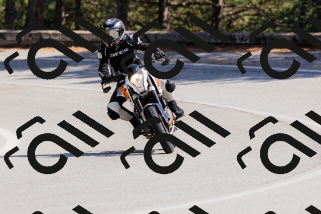 202509131440-_04A9008_c3