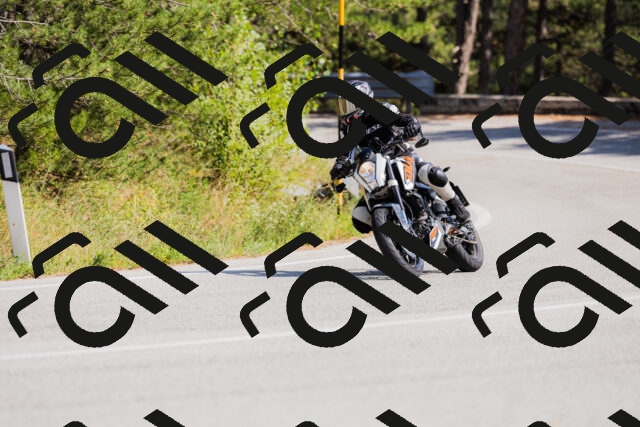 202509131440-_04A9010_c3