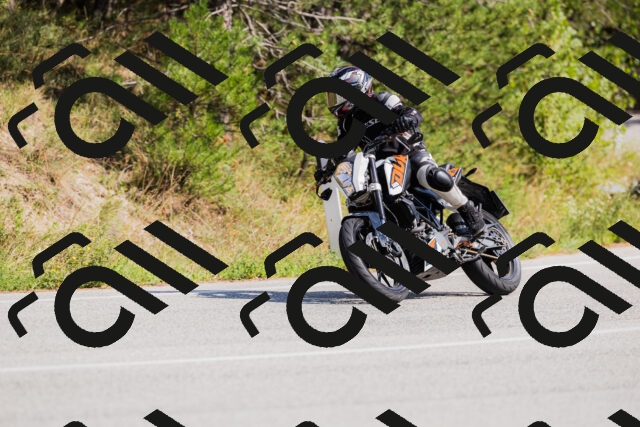 202509131440-_04A9011_c3