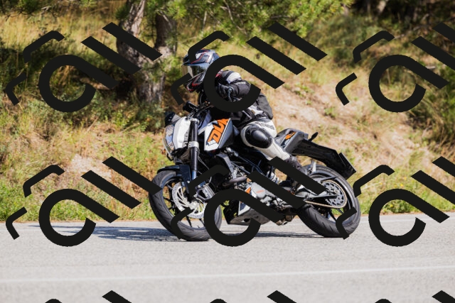 202509131440-_04A9012_c3