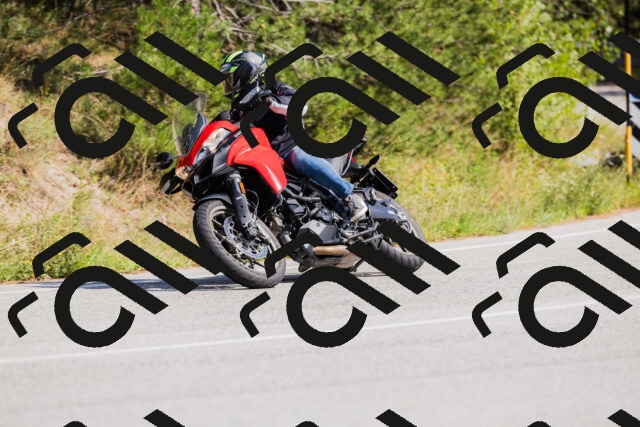 202509131441-_04A9025_c3