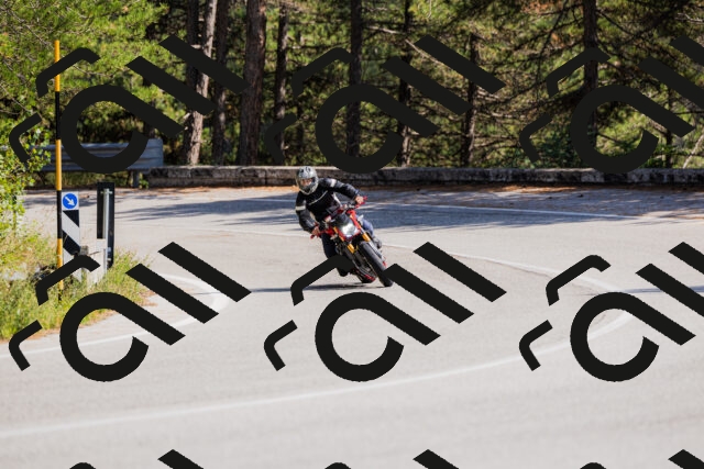 202509131441-_04A9026_c3