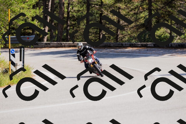 202509131441-_04A9027_c3