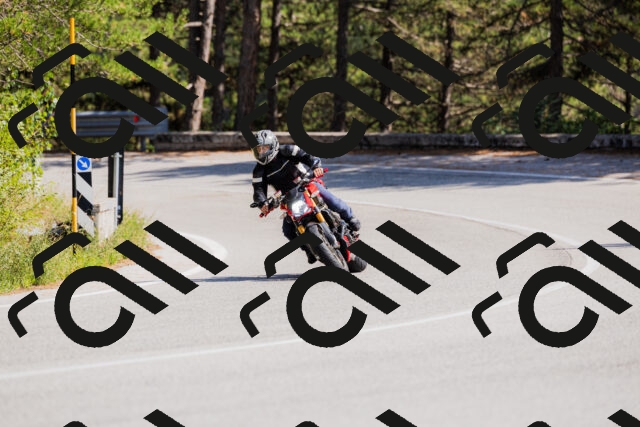 202509131441-_04A9028_c3