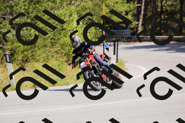 202509131441-_04A9030_c3