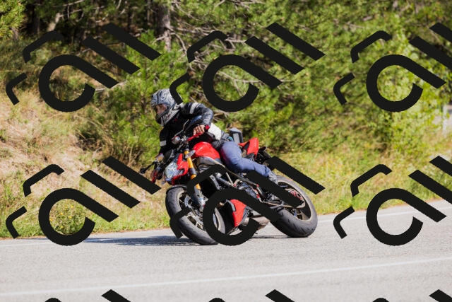 202509131441-_04A9031_c3