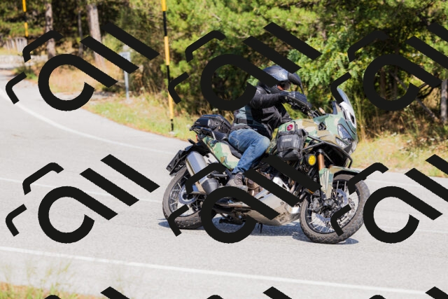 202509131442-_04A9035_c3