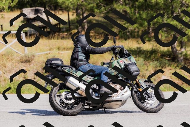 202509131442-_04A9037_c3