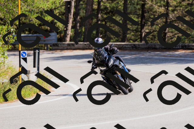 202509131442-_04A9038_c3