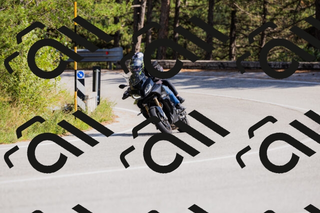 202509131442-_04A9039_c3