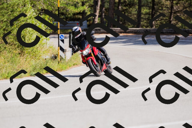 202509131443-_04A9041_c3